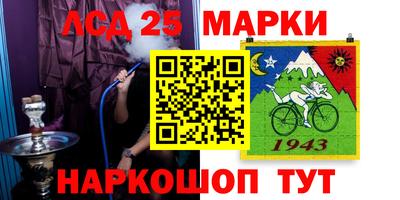 шишки Будённовск