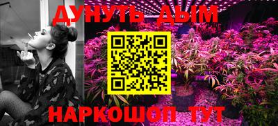 шишки Будённовск