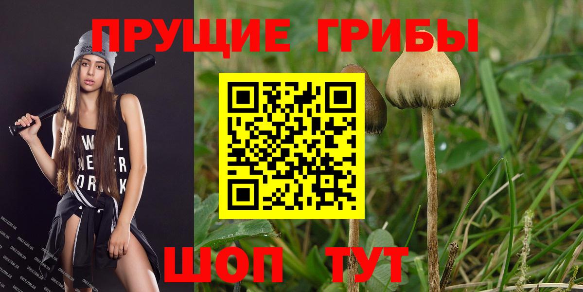 Бутурлиновка  Псилоцибиновые грибы MAGIC MUSHROOMS  Вход с VPN  Галлюциногенные грибы прущие грибы 
